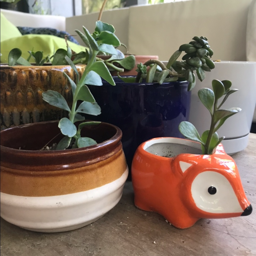 New in Box Fox Animal Planter | Plant Pot | Ceramic